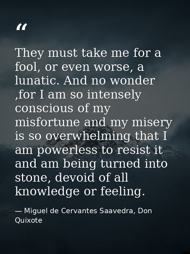 They must take me for a fool, or even worse, a lunatic. And no wonder ,for I am so intensely conscious of my misfortune  — Miguel de Cervantes Saavedra, Don Quixote