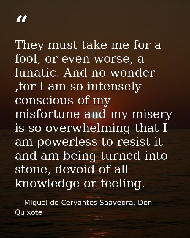They must take me for a fool, or even worse, a lunatic. And no wonder ,for I am so intensely conscious of my misfortune  — Miguel de Cervantes Saavedra, Don Quixote