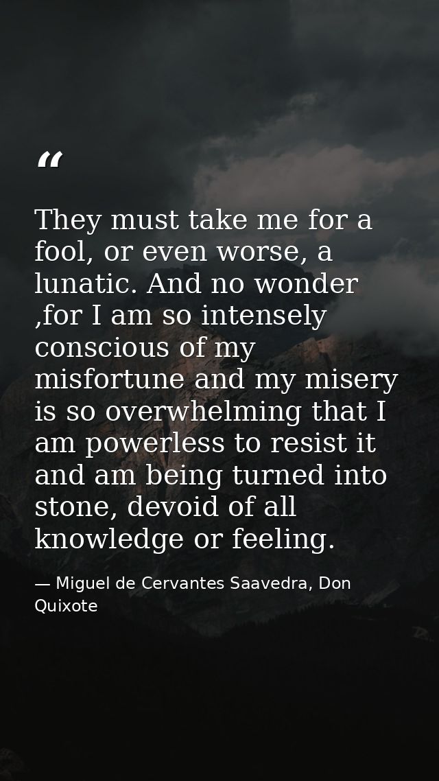 They must take me for a fool, or even worse, a lunatic. And no wonder ,for I am so intensely conscious of my misfortune  — Miguel de Cervantes Saavedra, Don Quixote