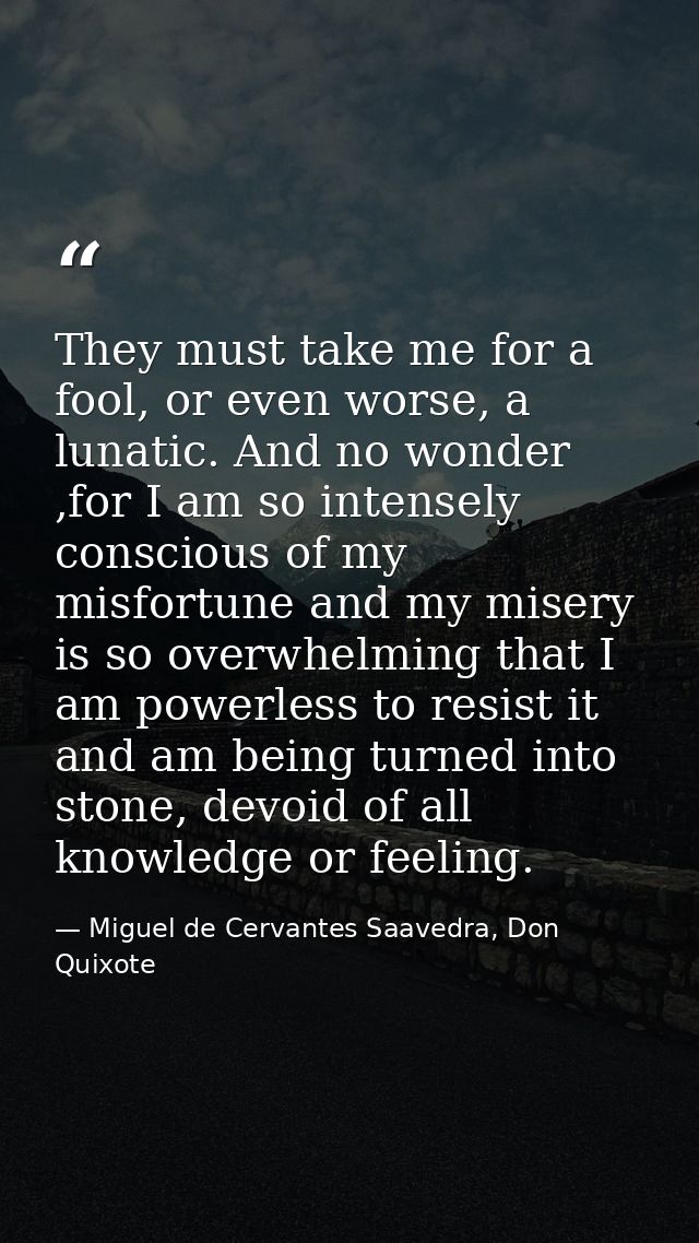 They must take me for a fool, or even worse, a lunatic. And no wonder ,for I am so intensely conscious of my misfortune  — Miguel de Cervantes Saavedra, Don Quixote