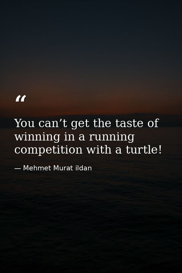 You can’t get the taste of winning in a running competition with a turtle! — Mehmet Murat ildan