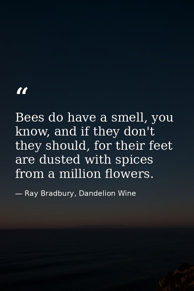Bees do have a smell, you know, and if they don't they should, for their feet are dusted with spices from a million flow — Ray Bradbury, Dandelion Wine