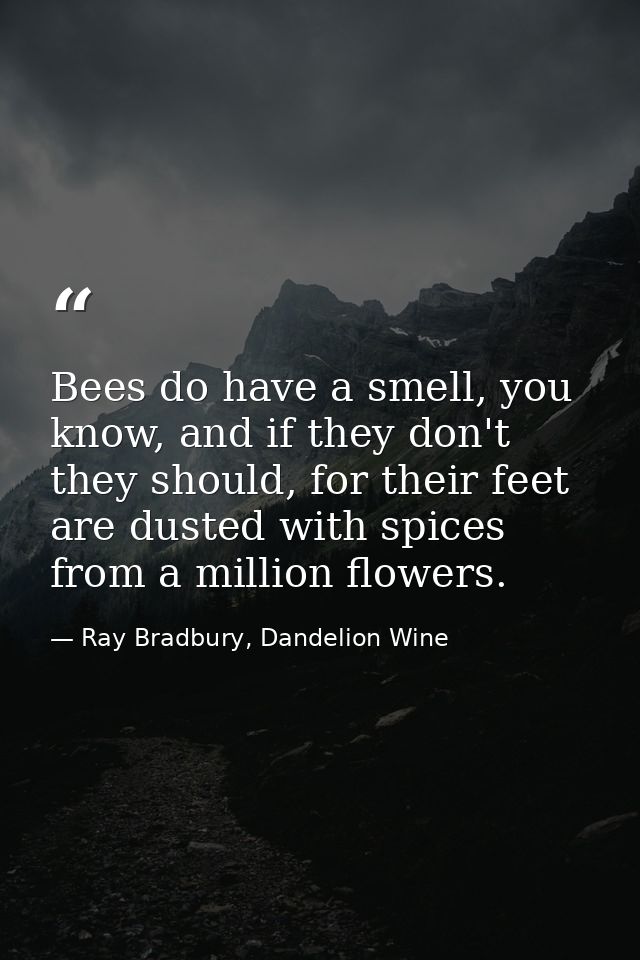 Bees do have a smell, you know, and if they don't they should, for their feet are dusted with spices from a million flow — Ray Bradbury, Dandelion Wine