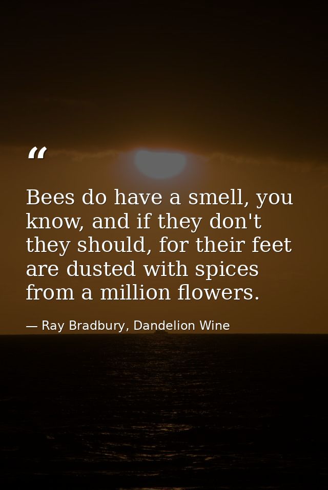 Bees do have a smell, you know, and if they don't they should, for their feet are dusted with spices from a million flow — Ray Bradbury, Dandelion Wine
