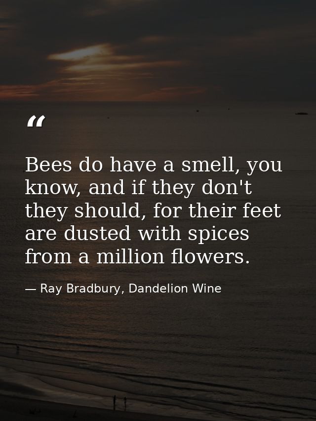 Bees do have a smell, you know, and if they don't they should, for their feet are dusted with spices from a million flow — Ray Bradbury, Dandelion Wine
