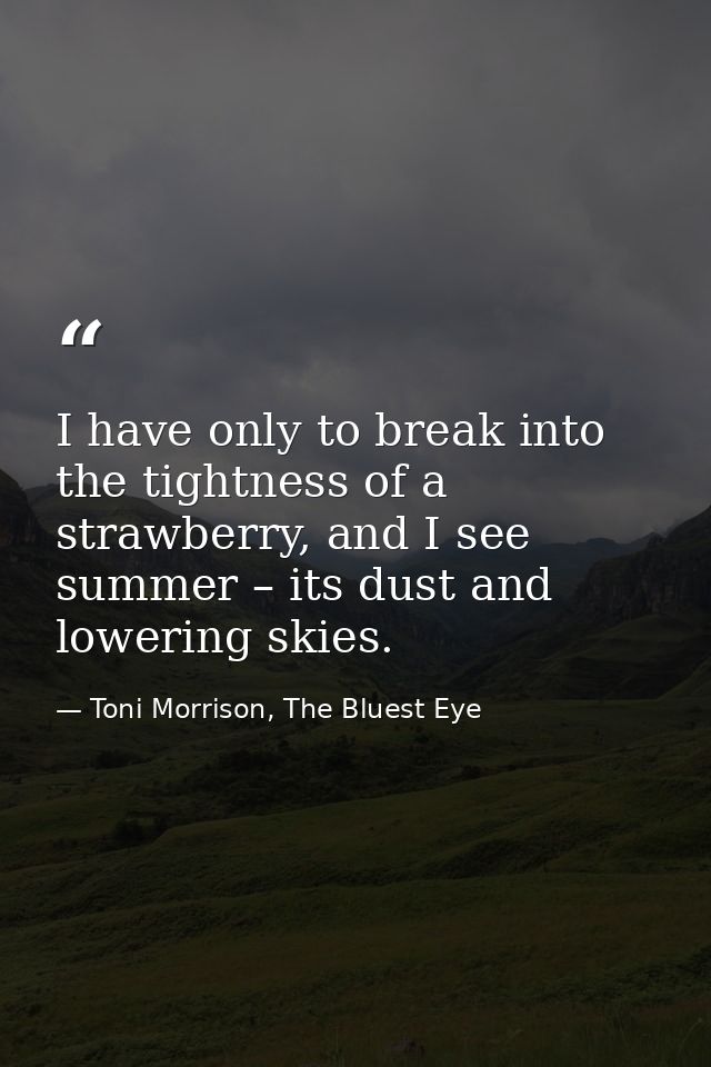 I have only to break into the tightness of a strawberry, and I see summer – its dust and lowering skies. — Toni Morrison, The Bluest Eye
