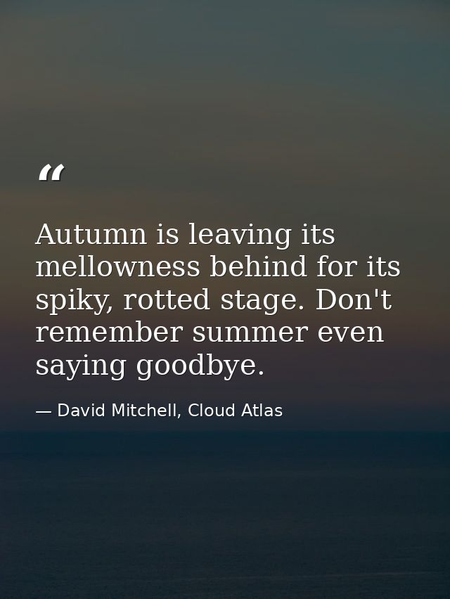 Autumn is leaving its mellowness behind for its spiky, rotted stage. Don't remember summer even saying goodbye. — David Mitchell, Cloud Atlas