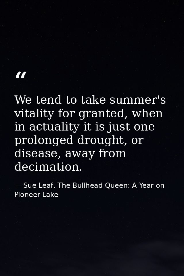 We tend to take summer's vitality for granted, when in actuality it is just one prolonged drought, or disease, away from — Sue Leaf, The Bullhead Queen: A Year on Pioneer Lake