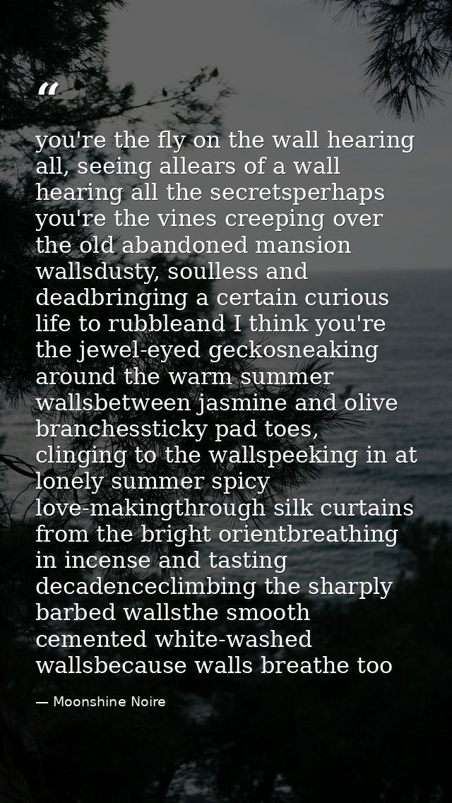 you're the fly on the wall hearing all, seeing allears of a wall hearing all the secretsperhaps you're the vines creepin — Moonshine Noire
