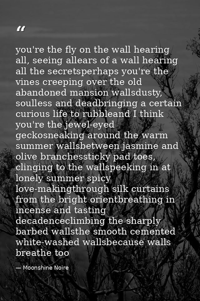 you're the fly on the wall hearing all, seeing allears of a wall hearing all the secretsperhaps you're the vines creepin — Moonshine Noire