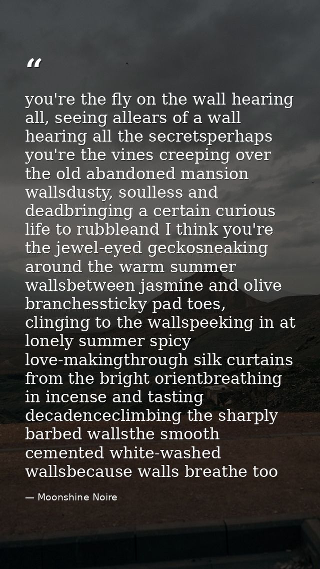you're the fly on the wall hearing all, seeing allears of a wall hearing all the secretsperhaps you're the vines creepin — Moonshine Noire