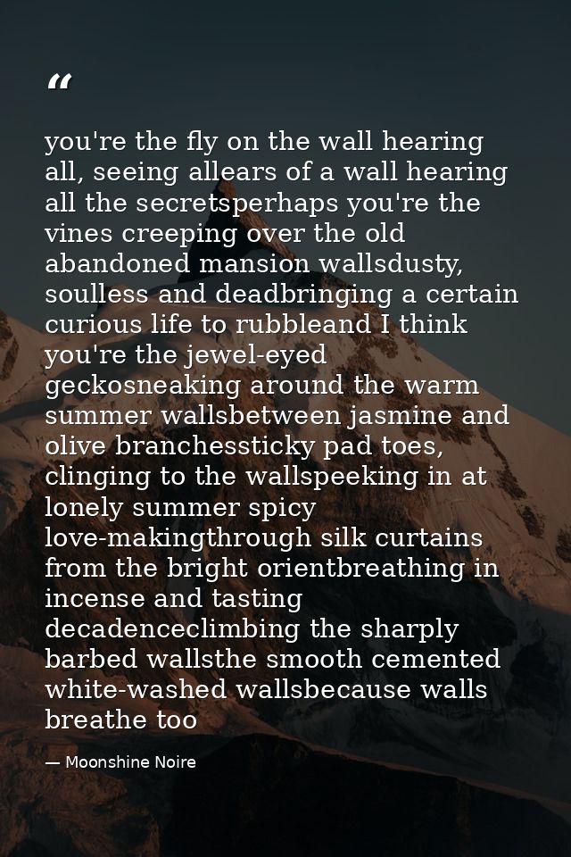 you're the fly on the wall hearing all, seeing allears of a wall hearing all the secretsperhaps you're the vines creepin — Moonshine Noire