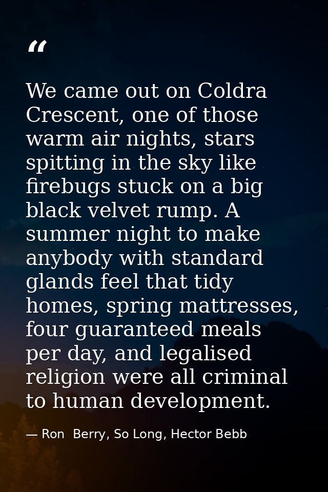 We came out on Coldra Crescent, one of those warm air nights, stars spitting in the sky like firebugs stuck on a big bla — Ron  Berry, So Long, Hector Bebb