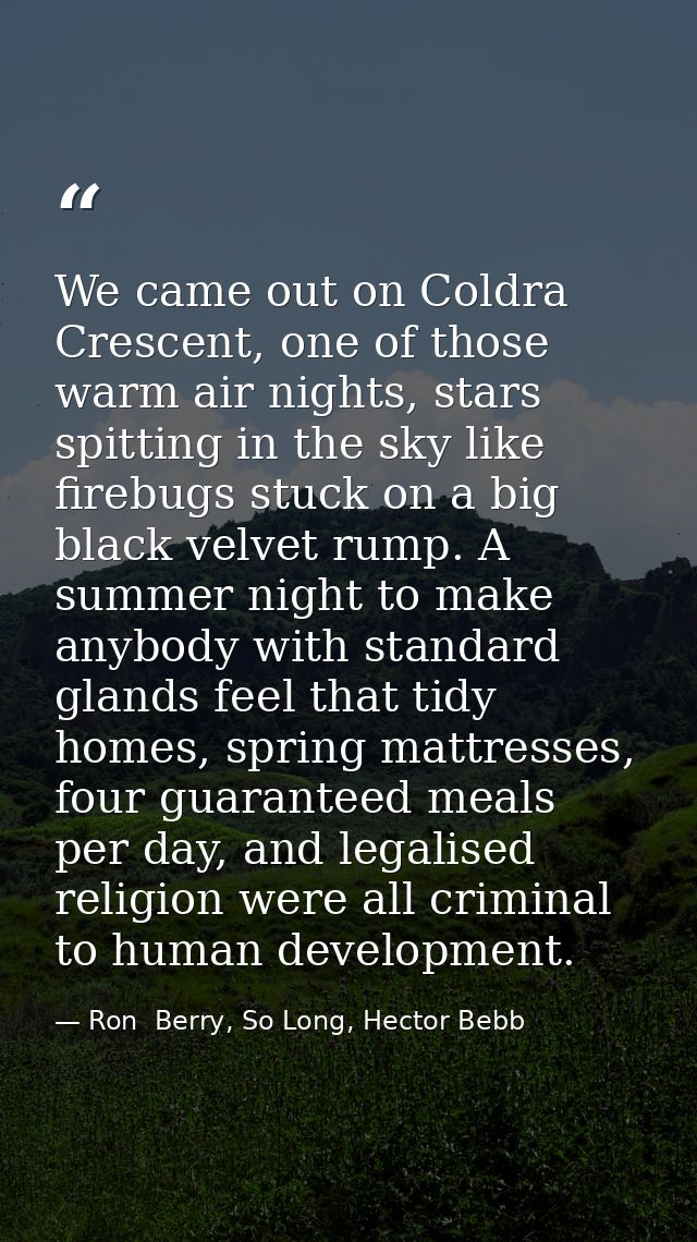 We came out on Coldra Crescent, one of those warm air nights, stars spitting in the sky like firebugs stuck on a big bla — Ron  Berry, So Long, Hector Bebb