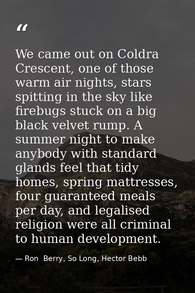 We came out on Coldra Crescent, one of those warm air nights, stars spitting in the sky like firebugs stuck on a big bla — Ron  Berry, So Long, Hector Bebb