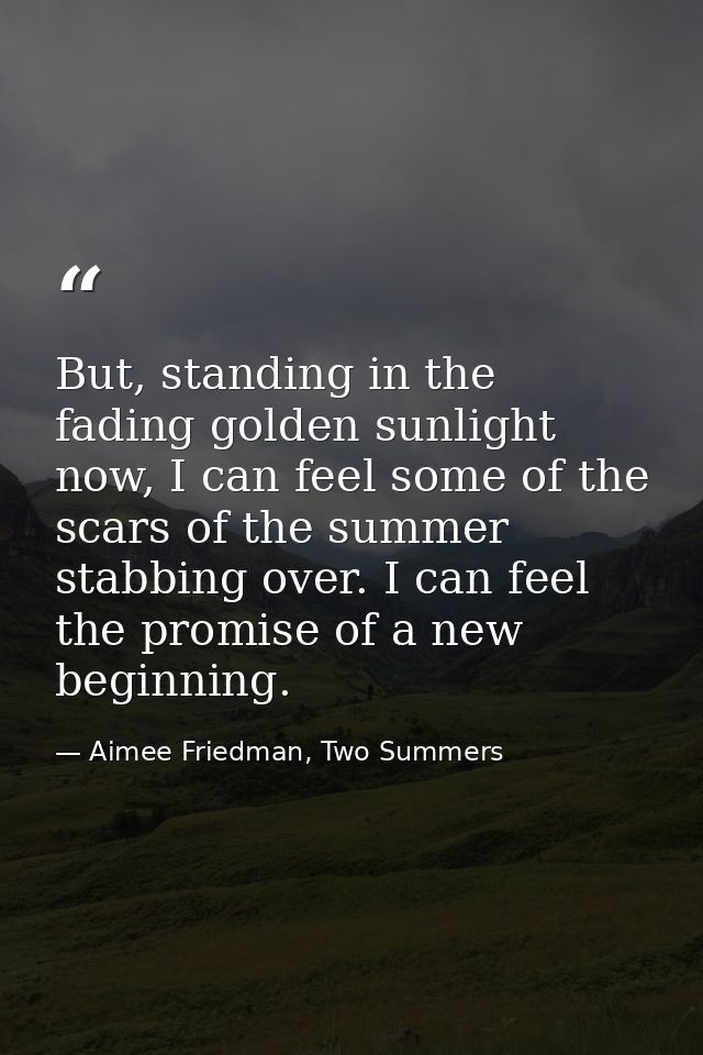 But, standing in the fading golden sunlight now, I can feel some of the scars of the summer stabbing over. I can feel th — Aimee Friedman, Two Summers