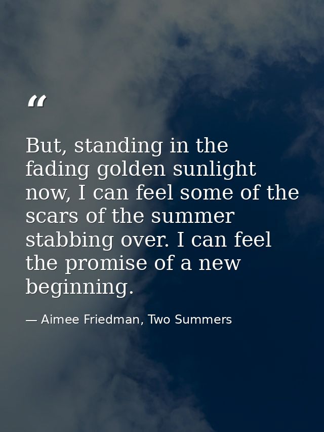 But, standing in the fading golden sunlight now, I can feel some of the scars of the summer stabbing over. I can feel th — Aimee Friedman, Two Summers