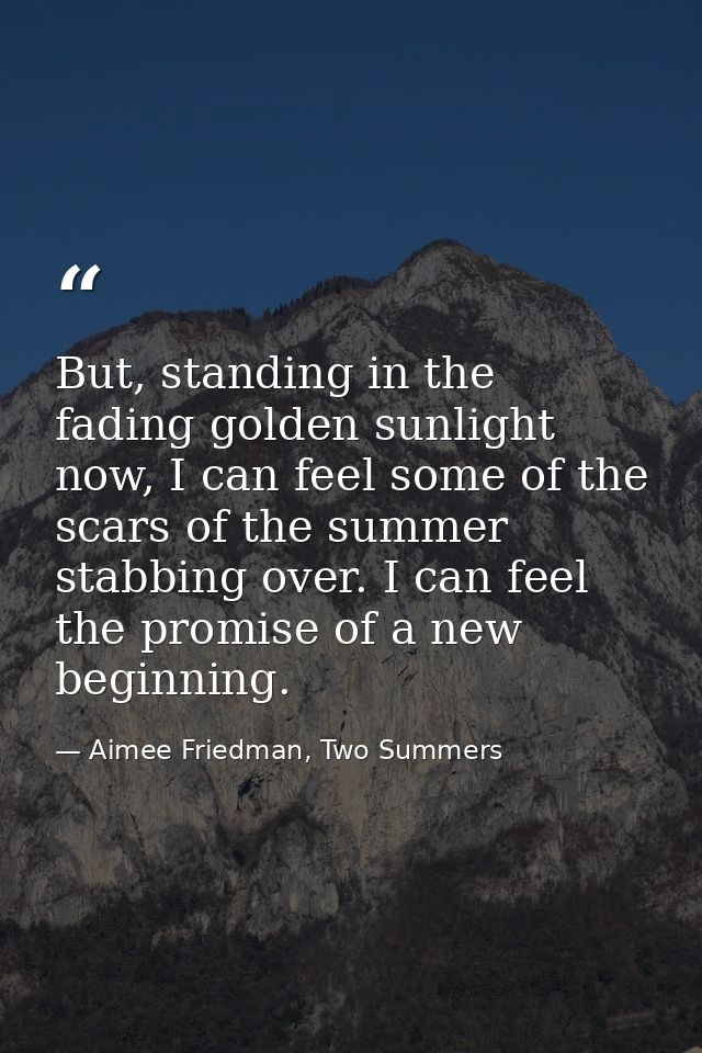 But, standing in the fading golden sunlight now, I can feel some of the scars of the summer stabbing over. I can feel th — Aimee Friedman, Two Summers