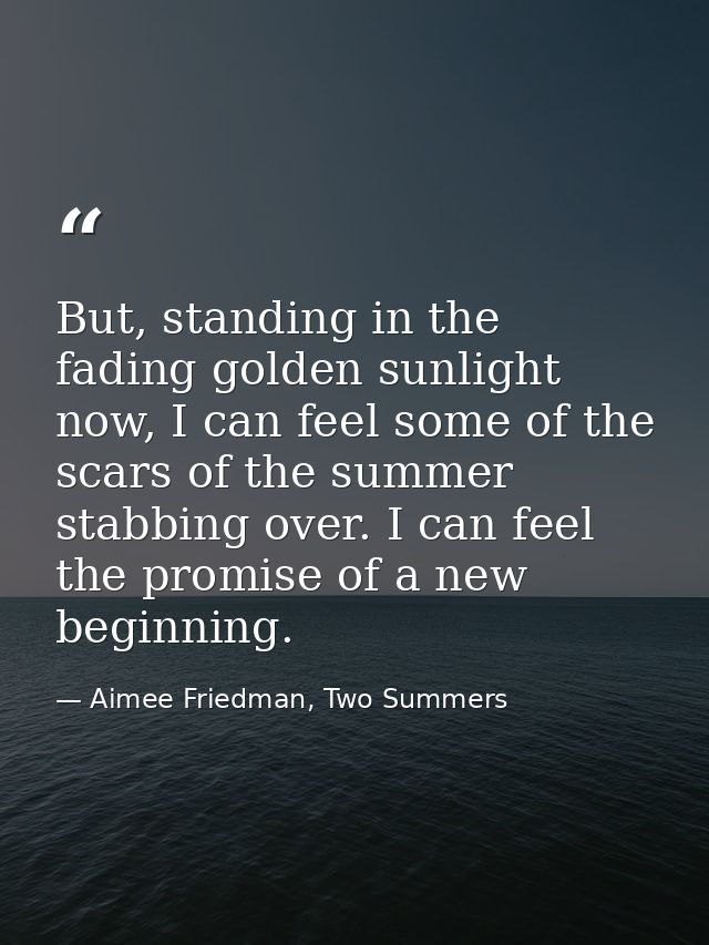 But, standing in the fading golden sunlight now, I can feel some of the scars of the summer stabbing over. I can feel th — Aimee Friedman, Two Summers