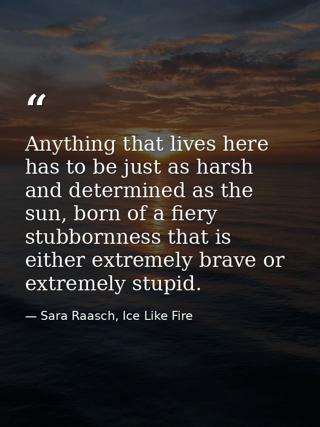 Anything that lives here has to be just as harsh and determined as the sun, born of a fiery stubbornness that is either  — Sara Raasch, Ice Like Fire