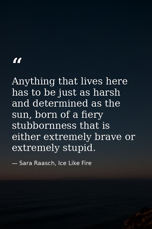Anything that lives here has to be just as harsh and determined as the sun, born of a fiery stubbornness that is either  — Sara Raasch, Ice Like Fire
