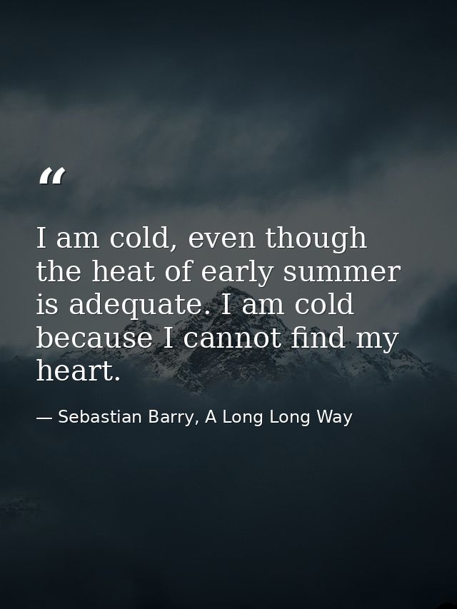 I am cold, even though the heat of early summer is adequate. I am cold because I cannot find my heart. — Sebastian Barry, A Long Long Way