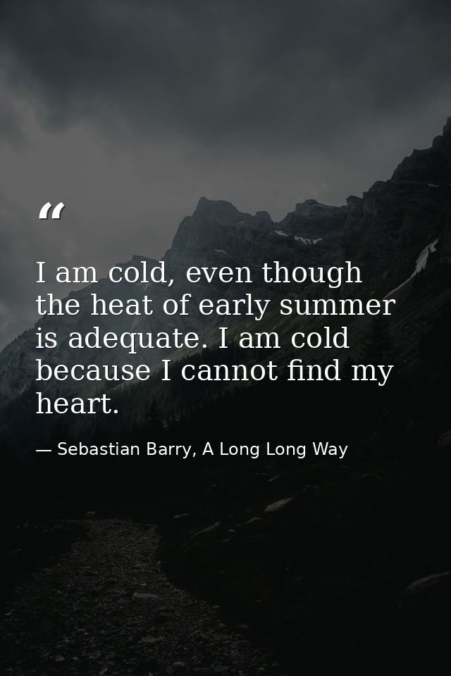 I am cold, even though the heat of early summer is adequate. I am cold because I cannot find my heart. — Sebastian Barry, A Long Long Way