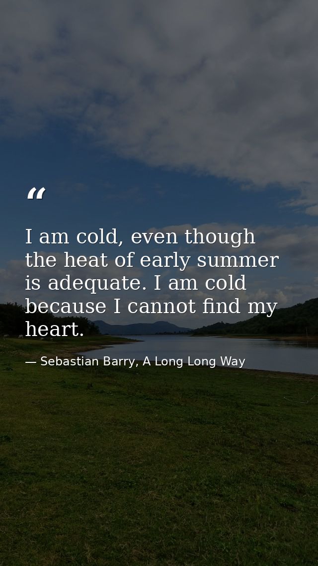 I am cold, even though the heat of early summer is adequate. I am cold because I cannot find my heart. — Sebastian Barry, A Long Long Way