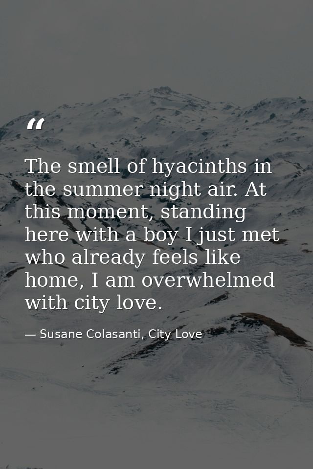The smell of hyacinths in the summer night air. At this moment, standing here with a boy I just met who already feels li — Susane Colasanti, City Love
