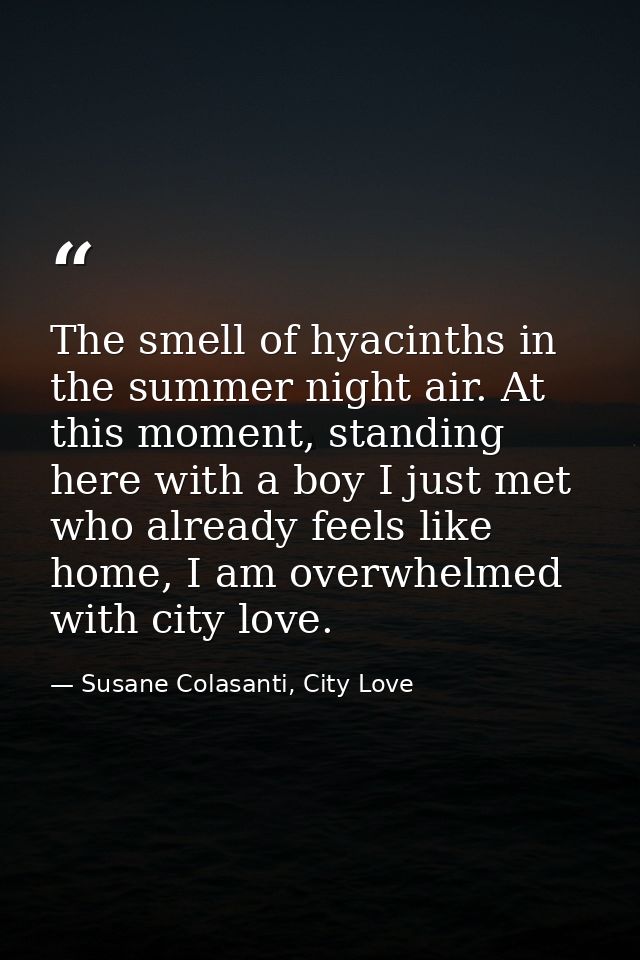 The smell of hyacinths in the summer night air. At this moment, standing here with a boy I just met who already feels li — Susane Colasanti, City Love