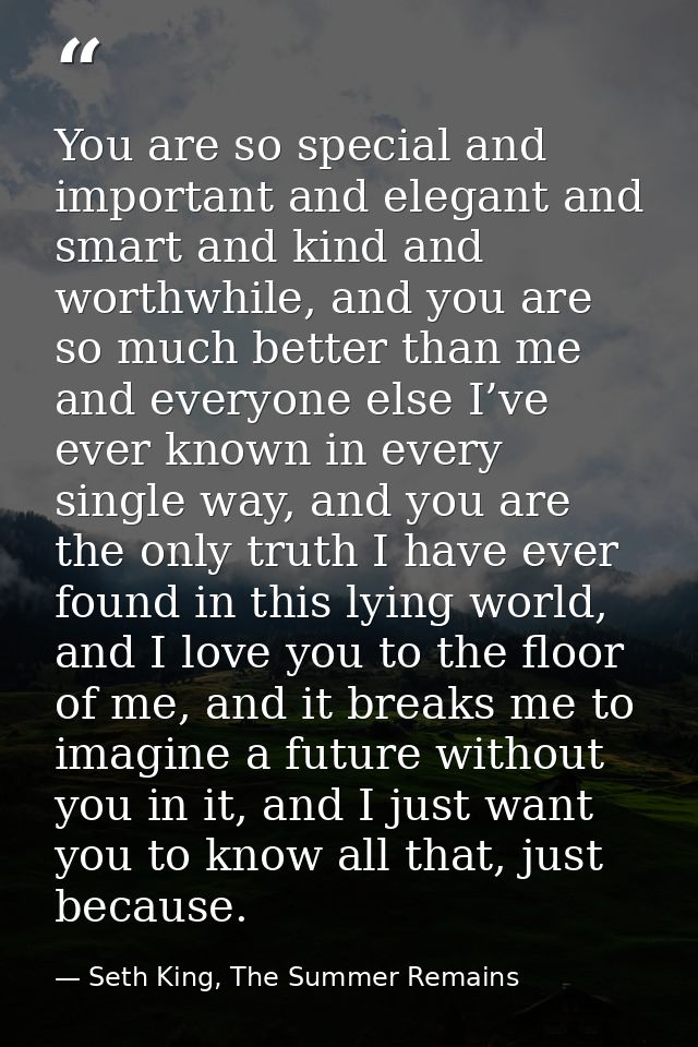 You are so special and important and elegant and smart and kind and worthwhile, and you are so much better than me and e — Seth King, The Summer Remains