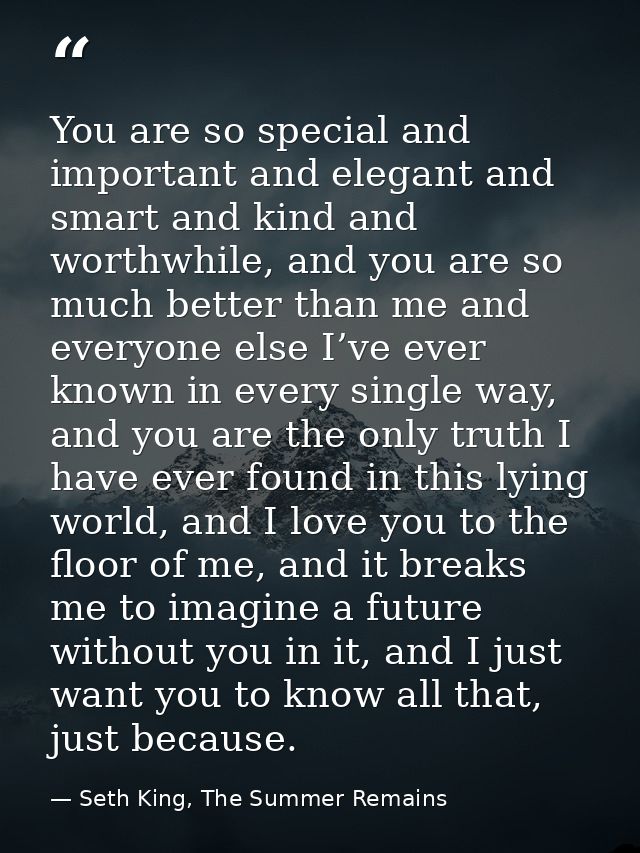 You are so special and important and elegant and smart and kind and worthwhile, and you are so much better than me and e — Seth King, The Summer Remains