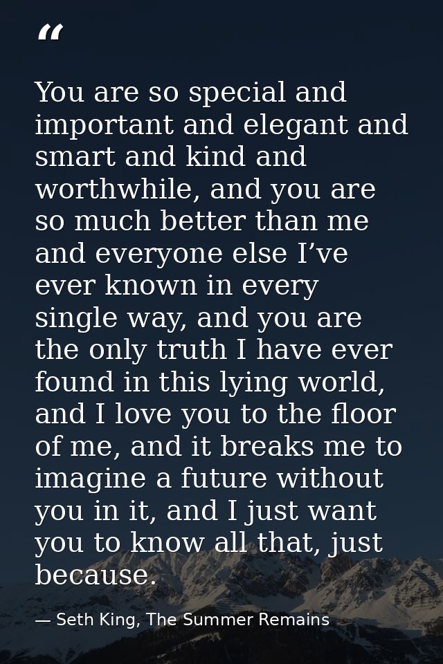 You are so special and important and elegant and smart and kind and worthwhile, and you are so much better than me and e — Seth King, The Summer Remains