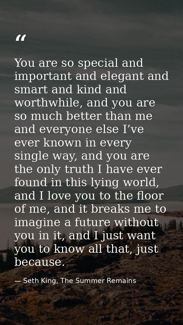 You are so special and important and elegant and smart and kind and worthwhile, and you are so much better than me and e — Seth King, The Summer Remains