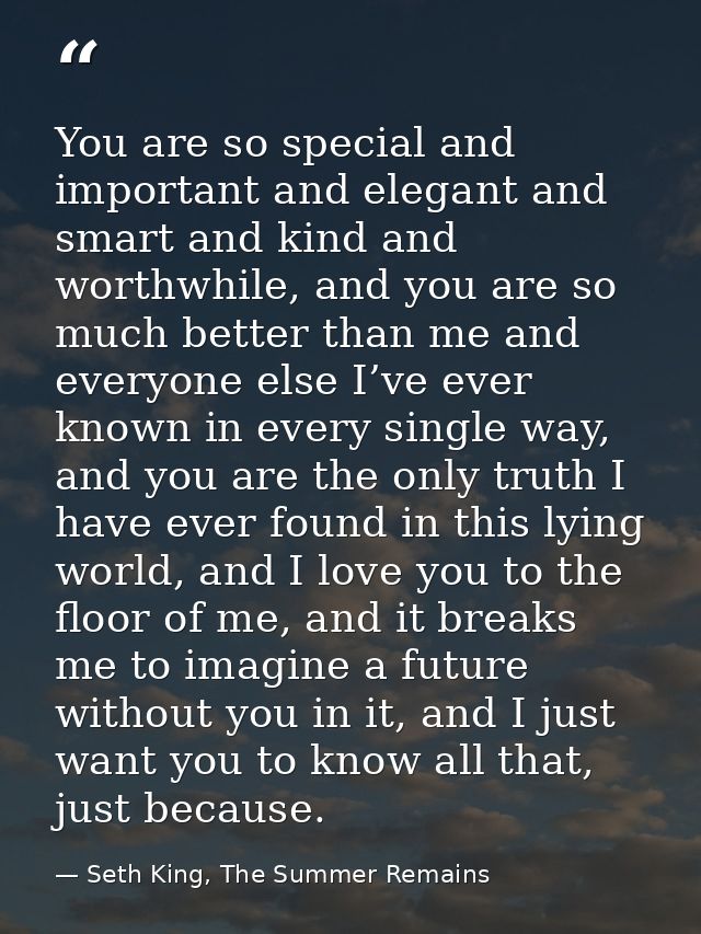 You are so special and important and elegant and smart and kind and worthwhile, and you are so much better than me and e — Seth King, The Summer Remains