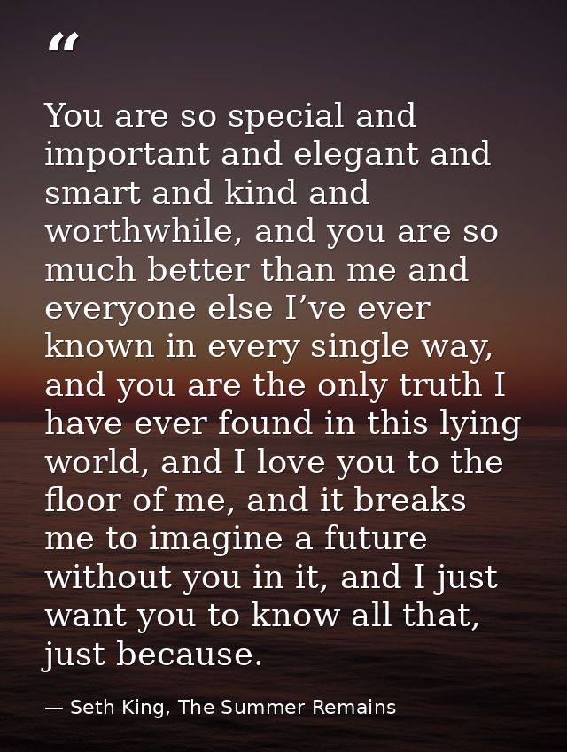 You are so special and important and elegant and smart and kind and worthwhile, and you are so much better than me and e — Seth King, The Summer Remains