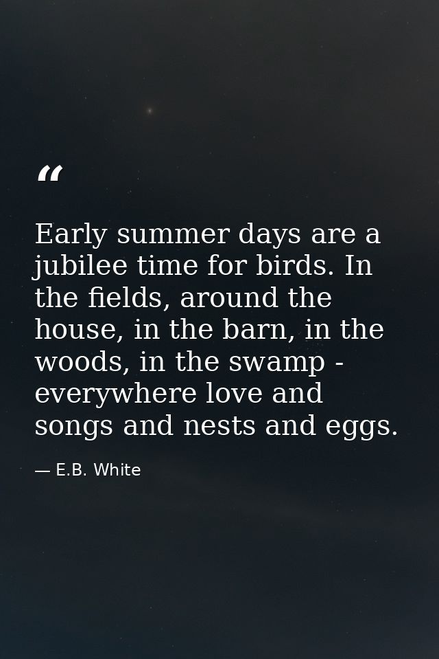 Early summer days are a jubilee time for birds. In the fields, around the house, in the barn, in the woods, in the swamp — E.B. White