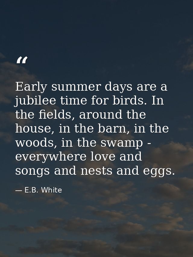 Early summer days are a jubilee time for birds. In the fields, around the house, in the barn, in the woods, in the swamp — E.B. White