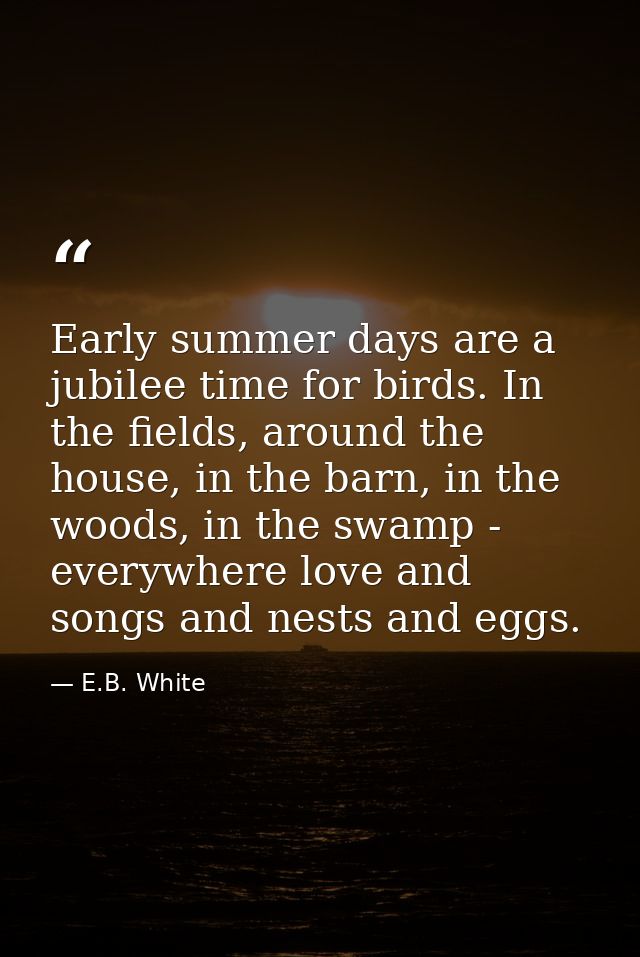 Early summer days are a jubilee time for birds. In the fields, around the house, in the barn, in the woods, in the swamp — E.B. White
