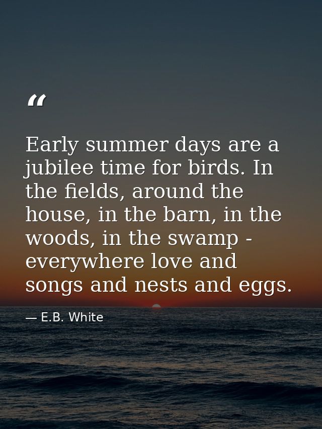 Early summer days are a jubilee time for birds. In the fields, around the house, in the barn, in the woods, in the swamp — E.B. White
