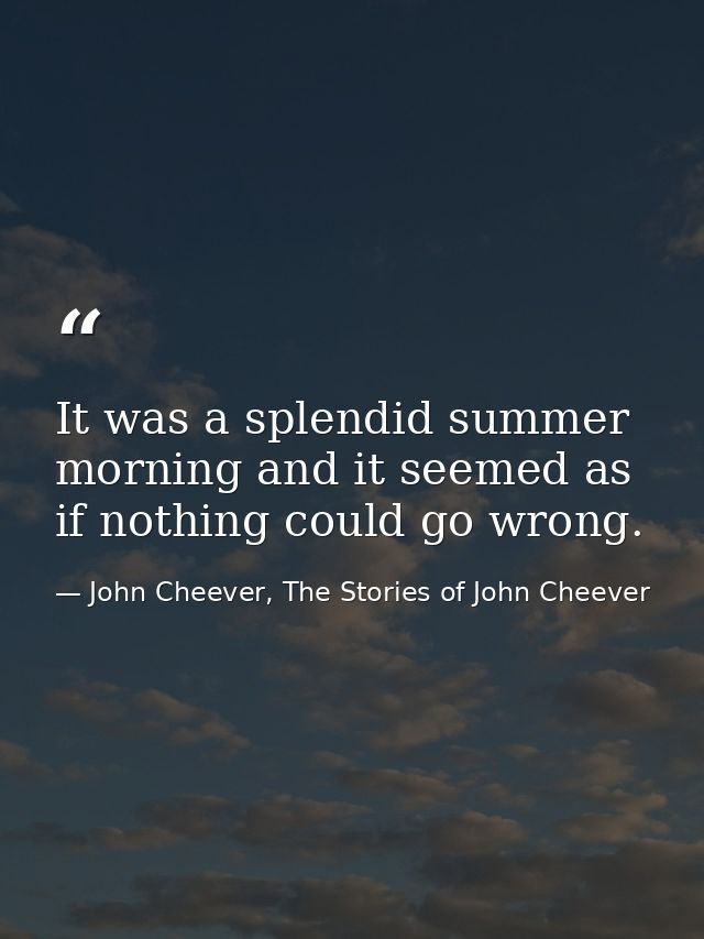 It was a splendid summer morning and it seemed as if nothing could go wrong. — John Cheever, The Stories of John Cheever