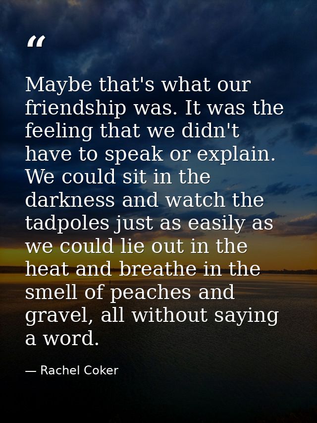 Maybe that's what our friendship was. It was the feeling that we didn't have to speak or explain. We could sit in the da — Rachel Coker