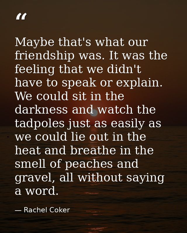 Maybe that's what our friendship was. It was the feeling that we didn't have to speak or explain. We could sit in the da — Rachel Coker