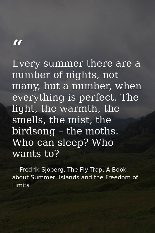 Every summer there are a number of nights, not many, but a number, when everything is perfect. The light, the warmth, th — Fredrik Sjöberg, The Fly Trap: A Book about Summer, Islands and the Freedom of Limits