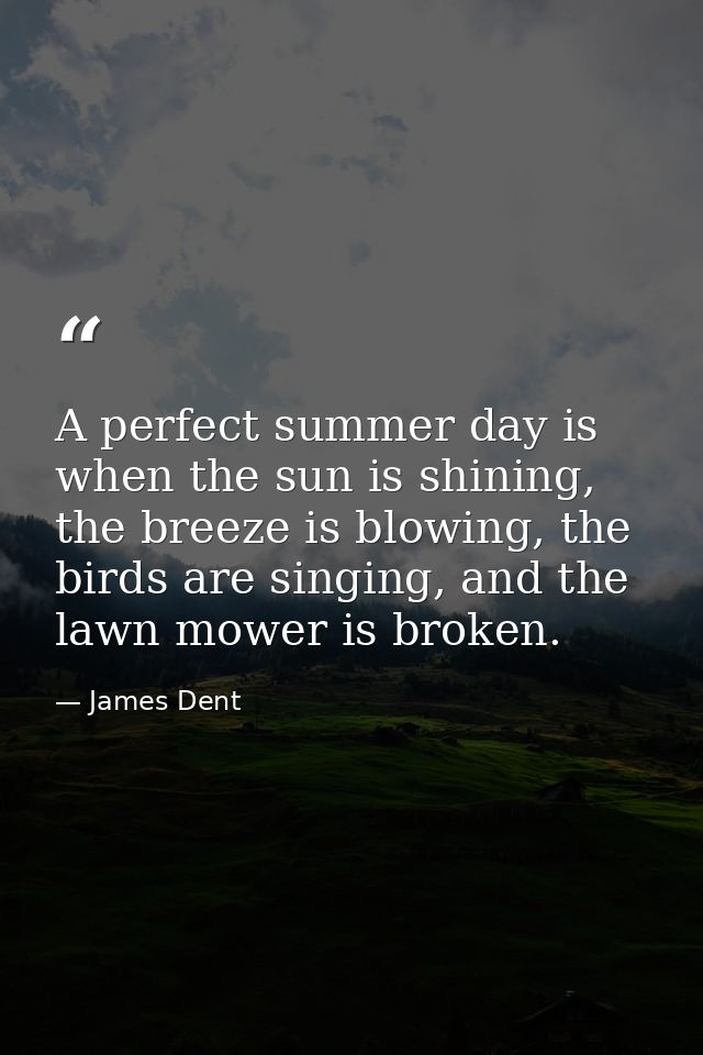 A perfect summer day is when the sun is shining, the breeze is blowing, the birds are singing, and the lawn mower is bro — James Dent