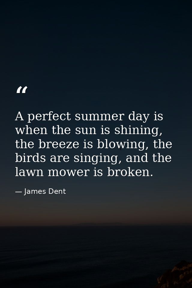 A perfect summer day is when the sun is shining, the breeze is blowing, the birds are singing, and the lawn mower is bro — James Dent
