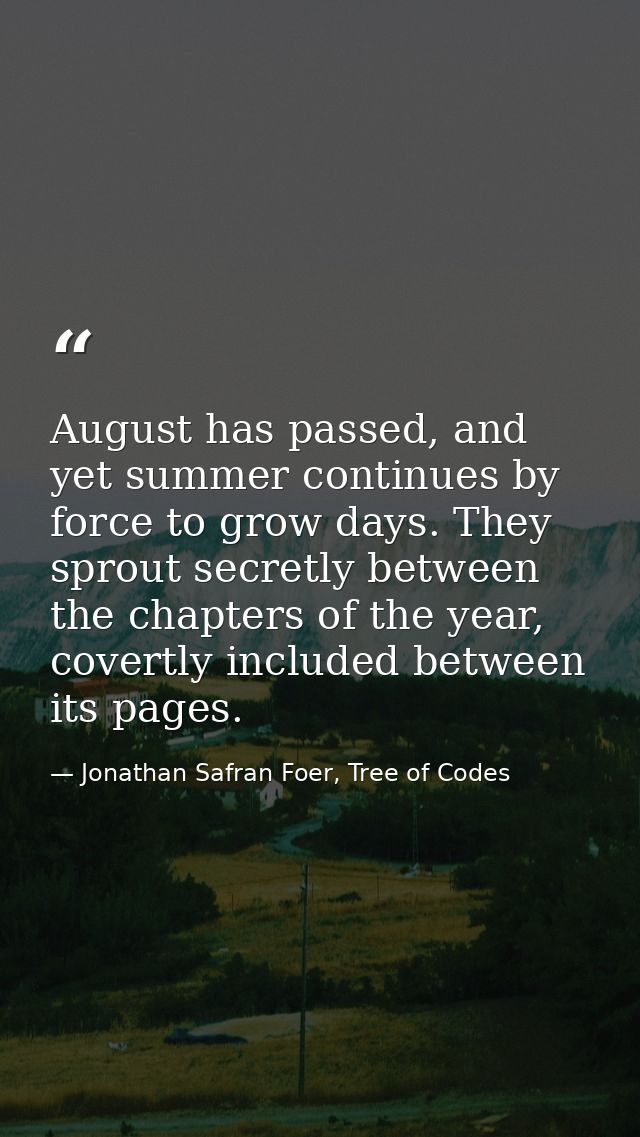 August has passed, and yet summer continues by force to grow days. They sprout secretly between the chapters of the year — Jonathan Safran Foer, Tree of Codes