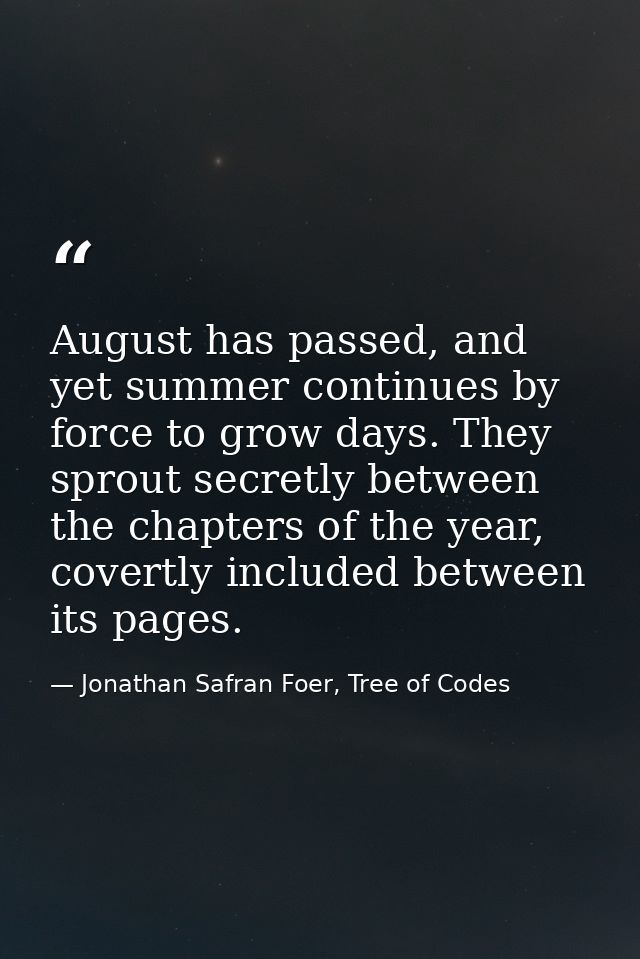 August has passed, and yet summer continues by force to grow days. They sprout secretly between the chapters of the year — Jonathan Safran Foer, Tree of Codes