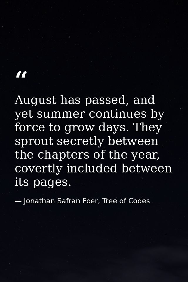 August has passed, and yet summer continues by force to grow days. They sprout secretly between the chapters of the year — Jonathan Safran Foer, Tree of Codes