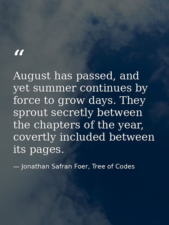 August has passed, and yet summer continues by force to grow days. They sprout secretly between the chapters of the year — Jonathan Safran Foer, Tree of Codes